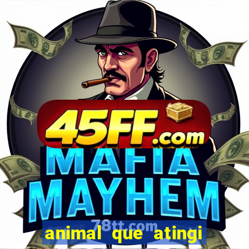 animal que atingi 230 decibeis